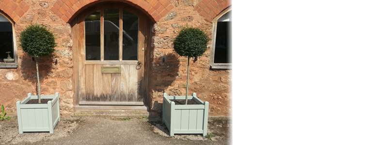 Planters Header Photo